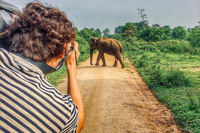 Sri Lanka tour itinerary . 6N/7D with driver, vehicle and H/B accommodations - Day 2, Polonnaruwa ruins: where planning actually shows