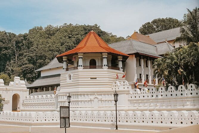 Sri Lanka Tour Plan - 14 Days - Private Transport And Hotel - Days 8 to 9: Little Adam’s Peak, zipline choices, Ravana Falls, and Yala wildlife