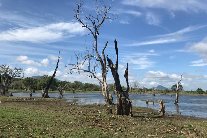 Sri Lanka tours 12-Day wildlife Tour with driver,Car or Van and accommodations - Bentota river safari by Buddhi and the Galle Dutch stop