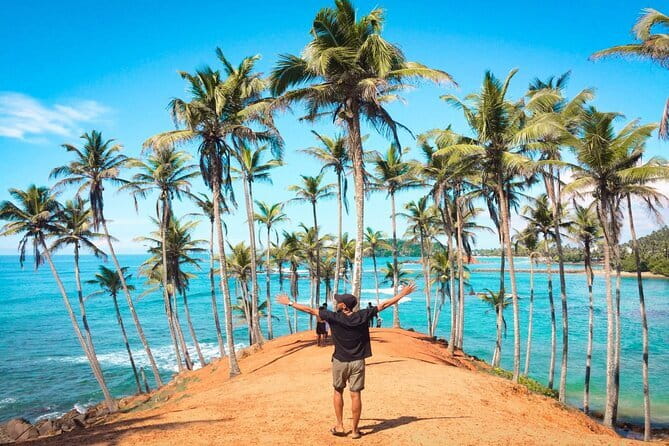 Tailor-made Multi-day Private Tour Packages in Sri Lanka - The route in human terms: how the 8-day rhythm feels