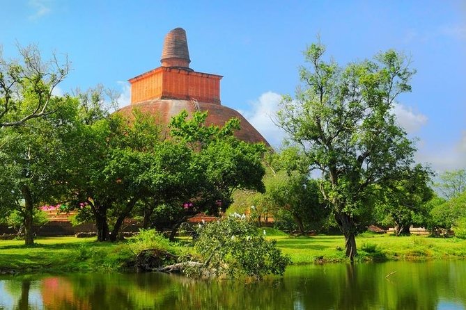 Tour Packages in Sri Lanka - Most Popular Round Tour - All in One Tour - Colombo Start, Colombo Finish: The Transport Plan That Sets the Mood