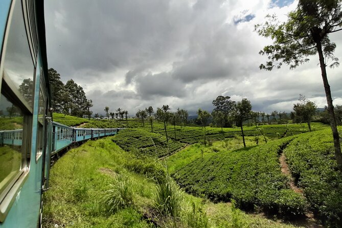 Train from Colombo to Kandy - Colombo Fort to Kandy Rail Transfer: The real value
