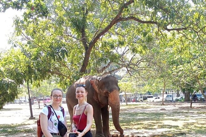 Tuk Tuk Private Tour Exploring Sri Lanka Capital of Colombo - Price and value: what $25 buys for 3.5 hours