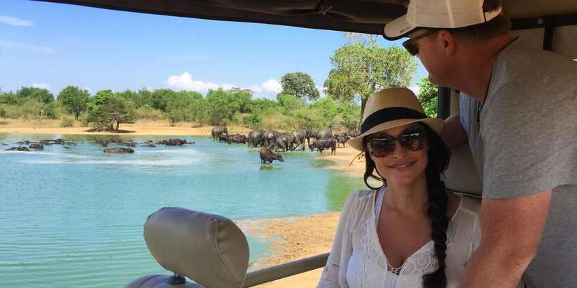 Udawalawa National Park: All-Inclusive Private Day Tour - Udawalawe National Park Safari: What You’re Actually Buying