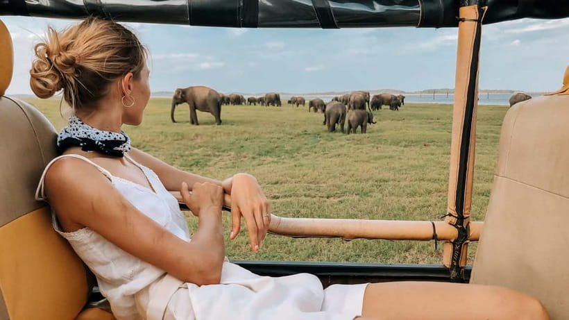 UDAWALAWA SAFARI TOUR from HAMBANTOTA PORT (Shore Excursion) - Who This Safari Suits Best