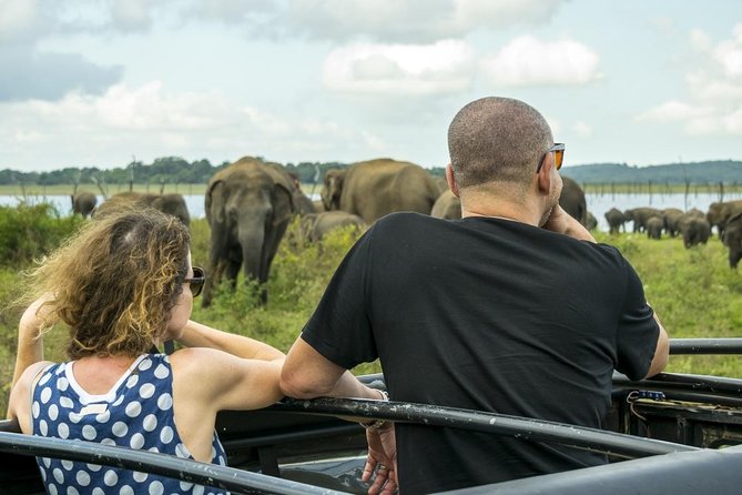 Udawalawe Safari Day Trip from South Region & Transfer to Ella - Why Udawalawe National Park gives you strong elephant odds