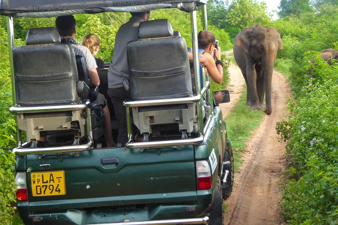 Udawalawe Safari Day Trip from South Region & Transfer to Ella - Food, comfort, and why included lunch matters more than you think