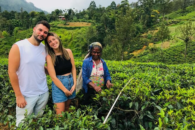 Ultimate 8-Day Sri Lanka Adventure: Private Guided Tour - Key highlights you should care about