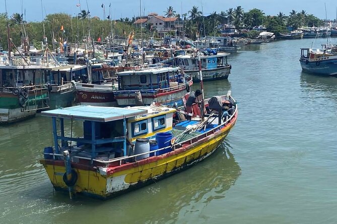 Visit Negombo by Scooty - All Inclusive - Negombo Fish Market: Beachfront action you can actually watch