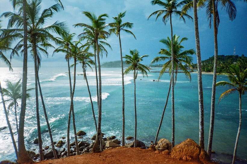 Visit sri Lanka 7 Days Round Trip - Day 6: Morning whale watching, beach sports, and a slow South Coast day
