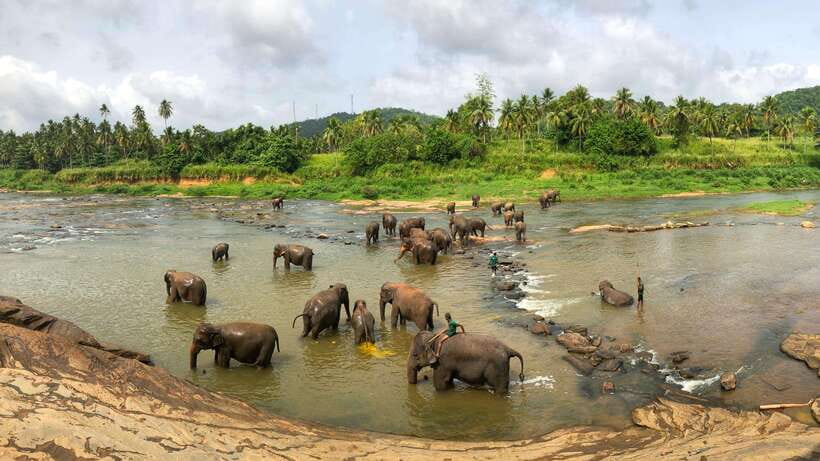 Visit sri Lanka 7 Days Round Trip - Day 7: Galle Fort, Madu River boat safari, and your end at Galle/Colombo or the airport