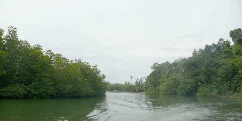 West coast Beach, River Mangroves lagoon, Wildlife boat Tour - Spice Herbal Garden and Moonstone Mine: Fun Stops, Mixed Vibes