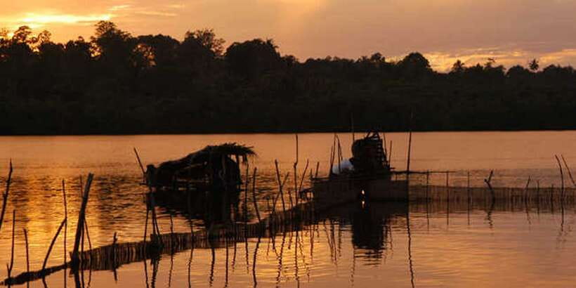 West coast Beach, River Mangroves lagoon, Wildlife boat Tour - Language, Guide Style, and What Small Group Can Feel Like