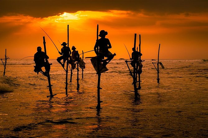 Whales Watching Mirissa Day Tour - Weligama stilt fishermen and Jungle Beach snorkeling with gear included