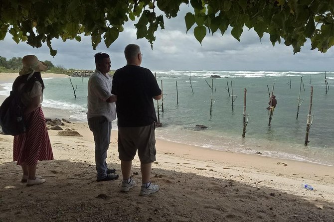 Whales Watching Mirissa Day Tour - Price and logistics: is $260 per person good value?