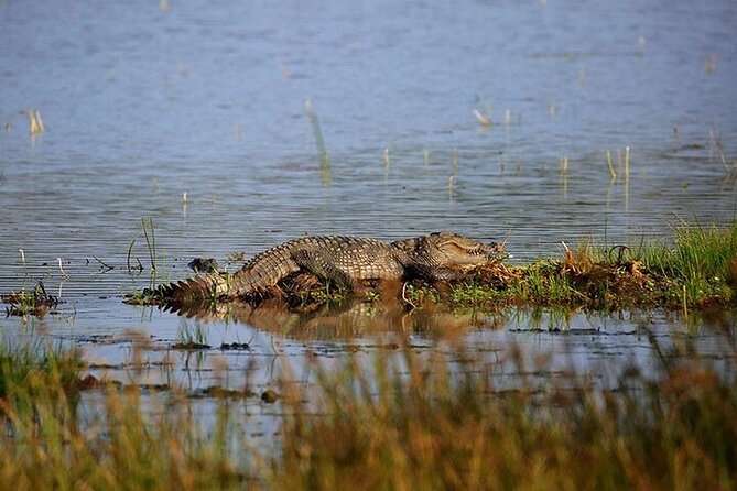 Wilpattu National Park Jeep Safari from Negombo / Waikkal (All Inclusive) - The 07:00 breakfast stop: fuel before you go looking
