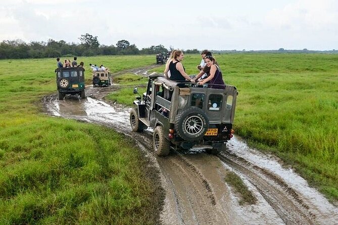 Wilpattu National Park Jeep Safari from Negombo / Waikkal (All Inclusive) - The food and comfort details that quietly make a difference