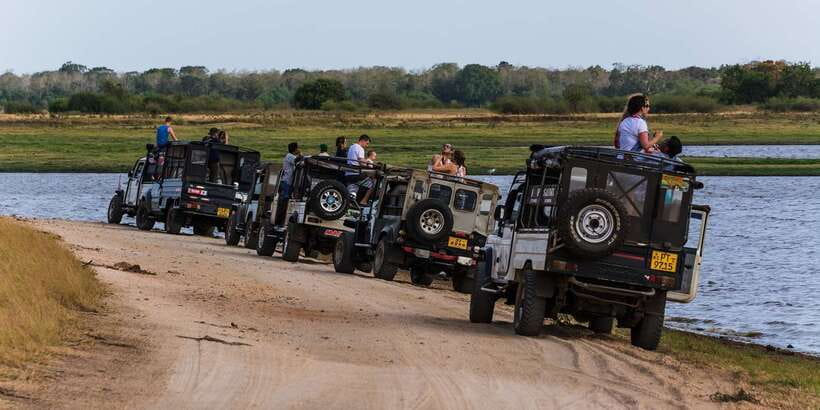 Wilpattu National Park Safari Tour from Colombo - Lunch at the Puttalam Hotel area: fueling up without losing the day