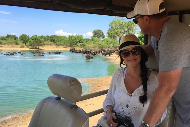 Yala Full Day Safari with Picnic Lunch - Private & All Inclusive - The early pickup grind, and why it is worth it