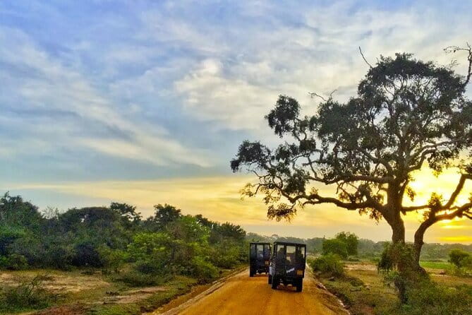 Yala National Park Private Jeep Safari From Colombo & Negombo - Key things to know before you go