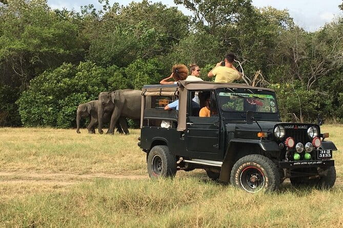 Yala National Park Private Jeep Safari From Colombo & Negombo - Comfort and safety: what to check before you say yes