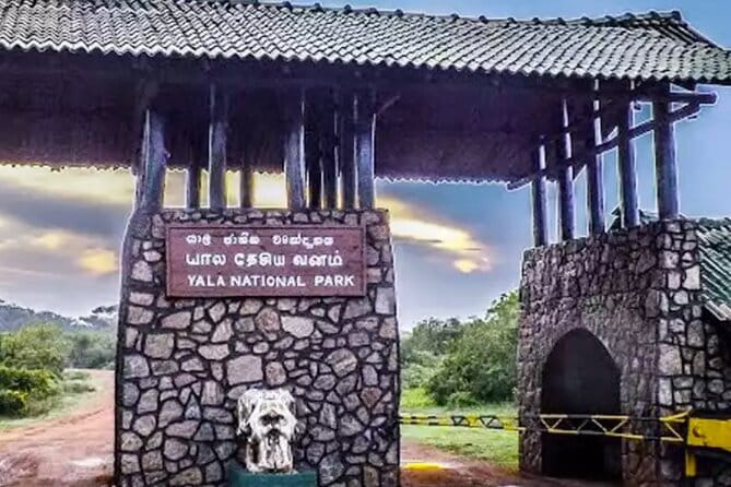 Yala National Park Private Jeep Safari From Colombo & Negombo - Price and value: does $250 per person make sense?