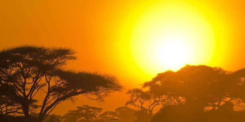 Yala Safari All-Inclusive Package with Convenient Pick Up - Morning or Evening Safari: Choose the Timing That Matches Your Day